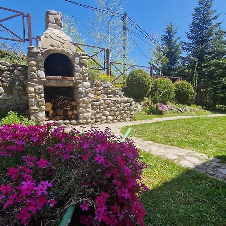 Villa Chalet Mila à Mavrovo Extérieur photo