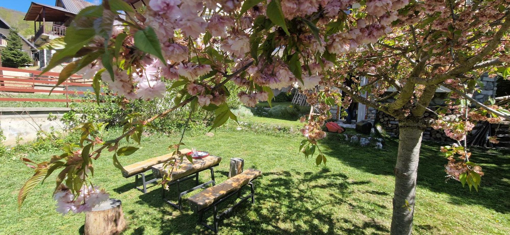 Villa Chalet Mila à Mavrovo Extérieur photo