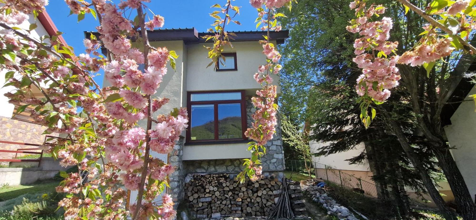 Villa Chalet Mila à Mavrovo Extérieur photo